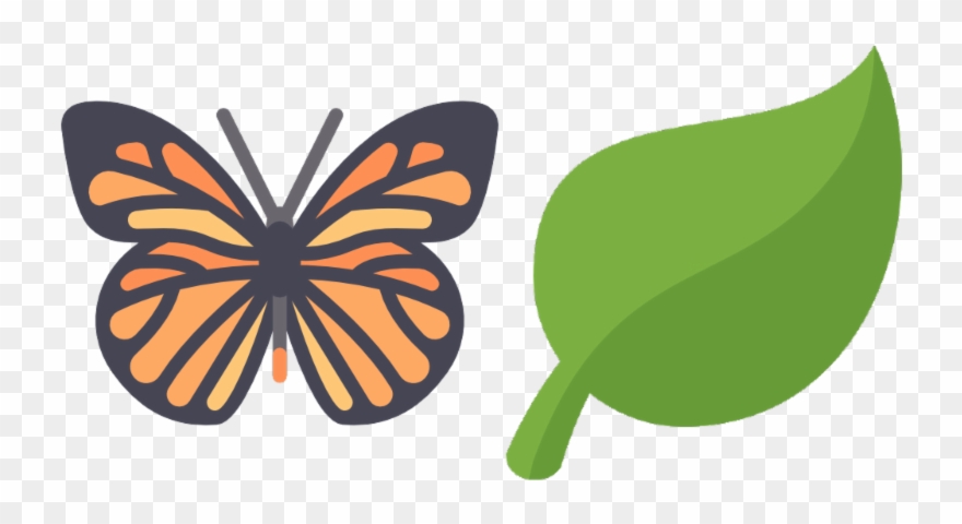 Full Moon Mixer & Drum Circle - Butterfly Icon Png Clipart