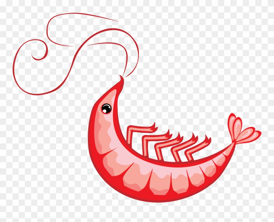 Shrimp Vector Clip Art - Illustration - Png Download