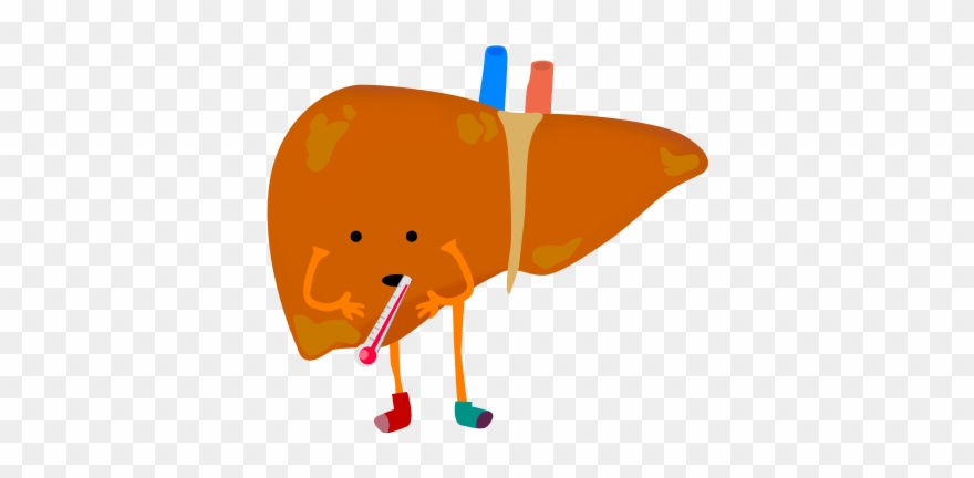 Graphic Acute Disease Free On Dumielauxepices Net - Sick Liver Clip Art - Png Download