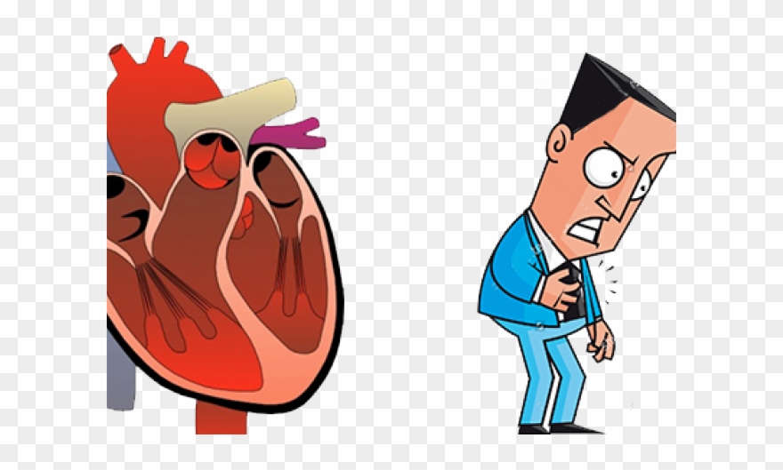 Flow Of A Blood Cell Through The Pulmonary Circuit Clipart