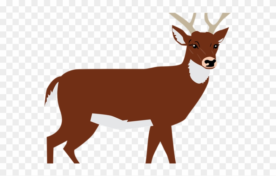 Forest Clipart Deer - Transparent Deer Clipart - Png Download