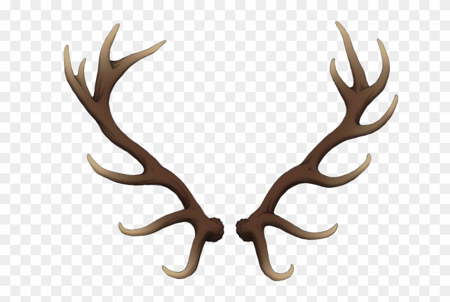 Freeuse Stock Antlers Transparent Deer - Reindeer Antlers Png Clipart