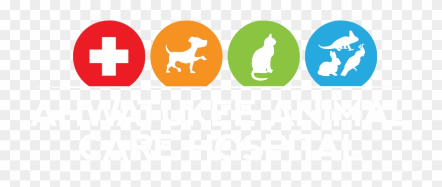 Ahwatukee Animal Care Hospital And Pet Resort 10855 - Pet Care Logo Png Clipart