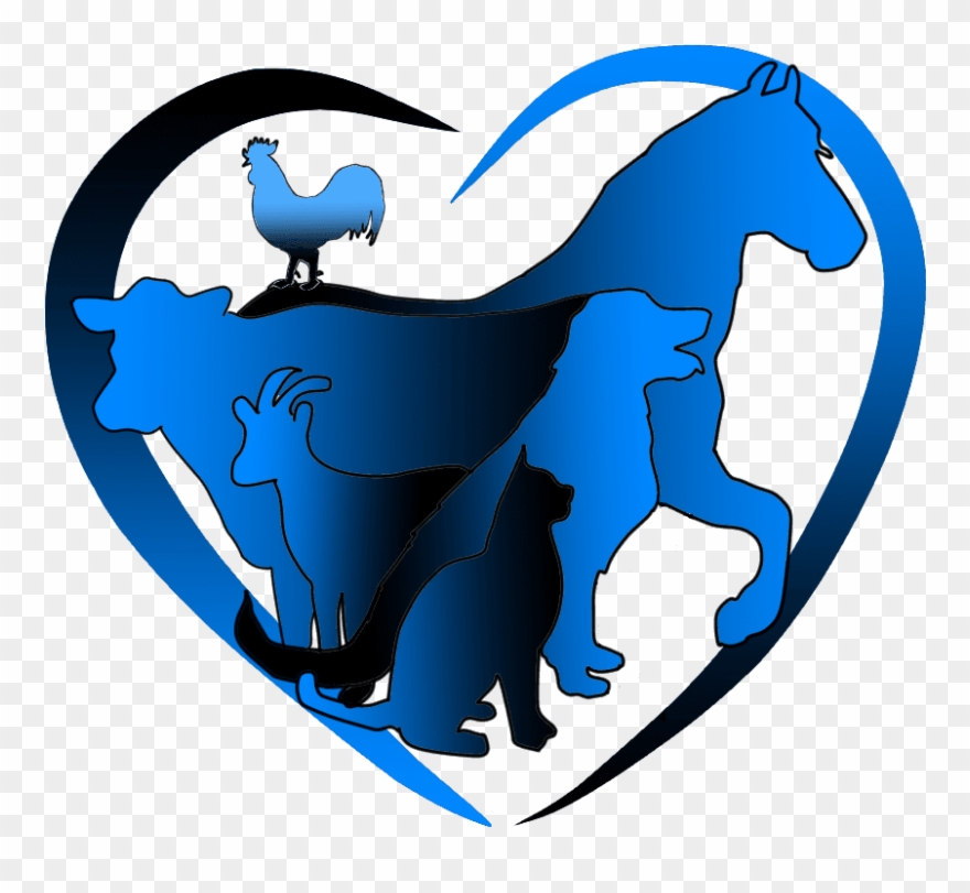 Hooves N Paws Animal Care - Hawaii Clipart