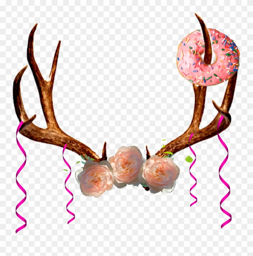 Antler Clipart