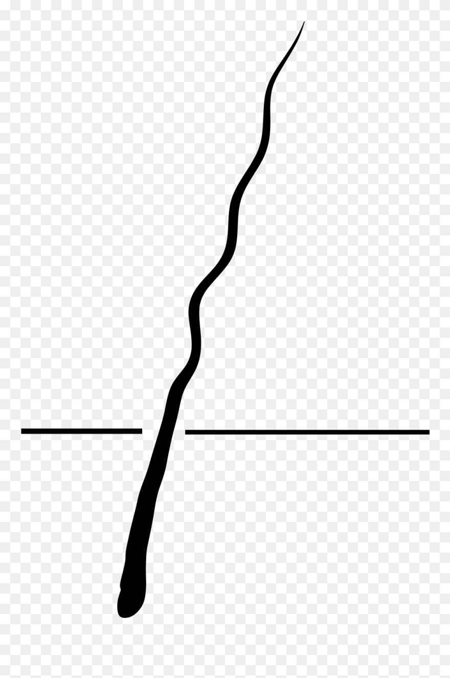 File - Curly Hair - Svg - Line Art Clipart