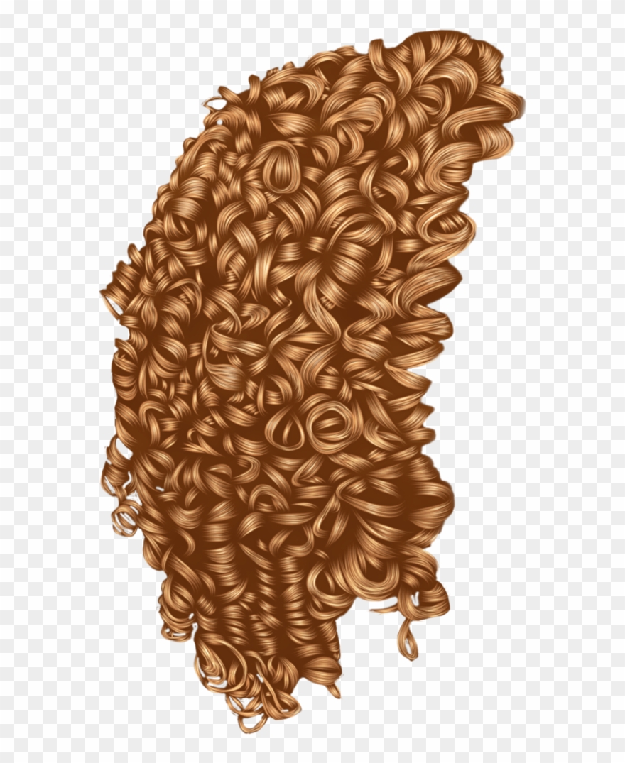 Curls Vector Curly - Drawings Of Tight Curls Clipart