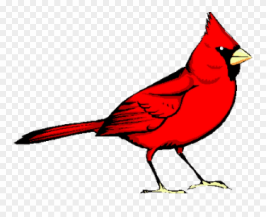 Graphic Freeuse Library Cardinal Clipart - Red Bird - Png Download