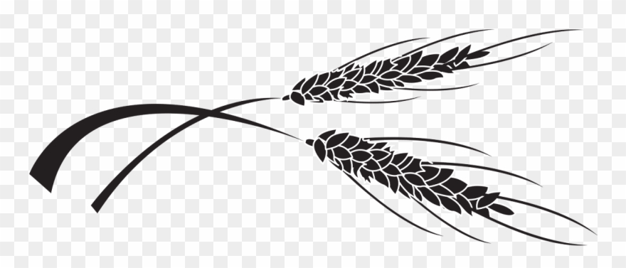 Drawing Clipart