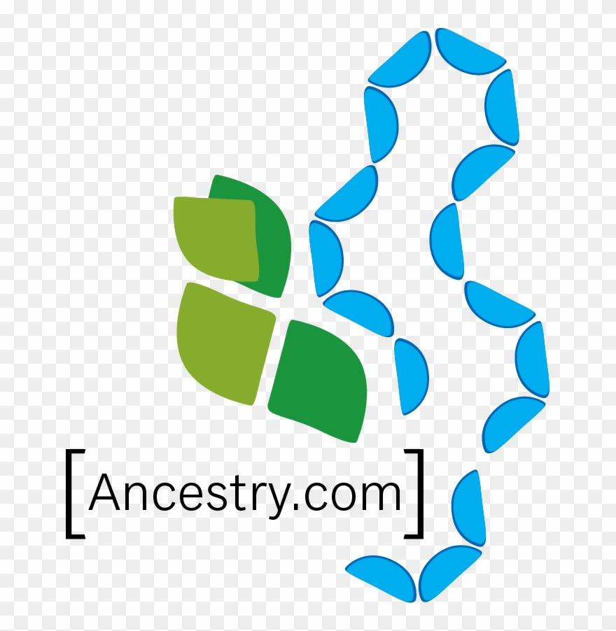 In This Lecture, Toni Will Show How To Research Efficiently - Graphic Design Clipart