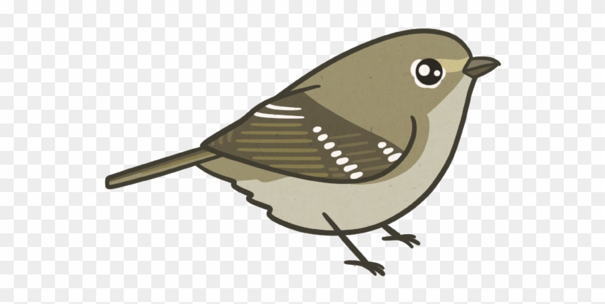 Hutton's Vireo By Birds And Friends Clipart