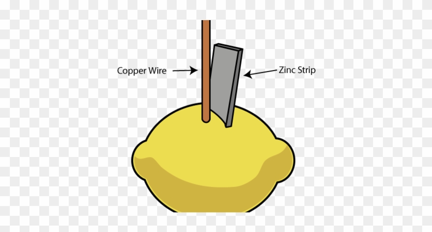 Fruit Battery Diagram Clipart