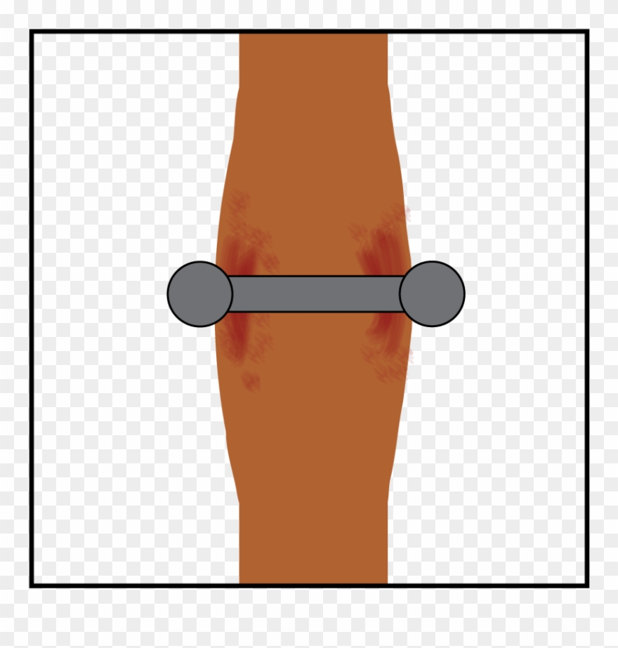 Clipart Stock Barbell Clipart Curved - Illustration - Png Download