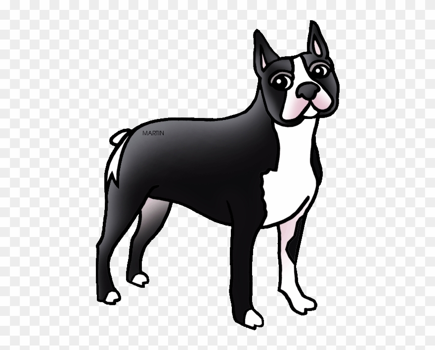 Free United States Clip Art By Phillip Martin, Massachusetts - Massachusetts State Boston Terrier - Png Download
