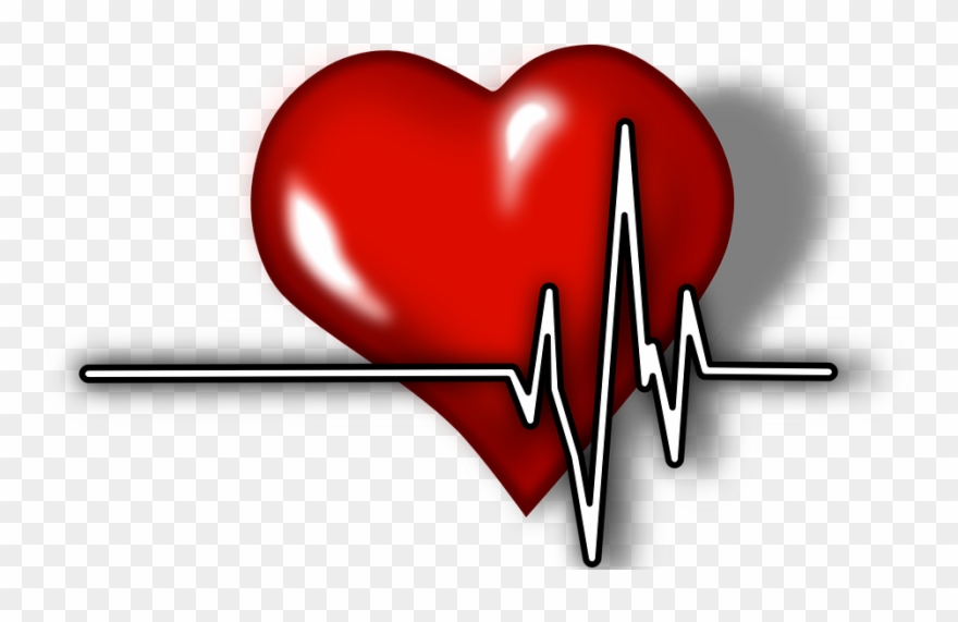 Heart Attacks And Defibrillators - Heart With Ecg Tracing Clipart