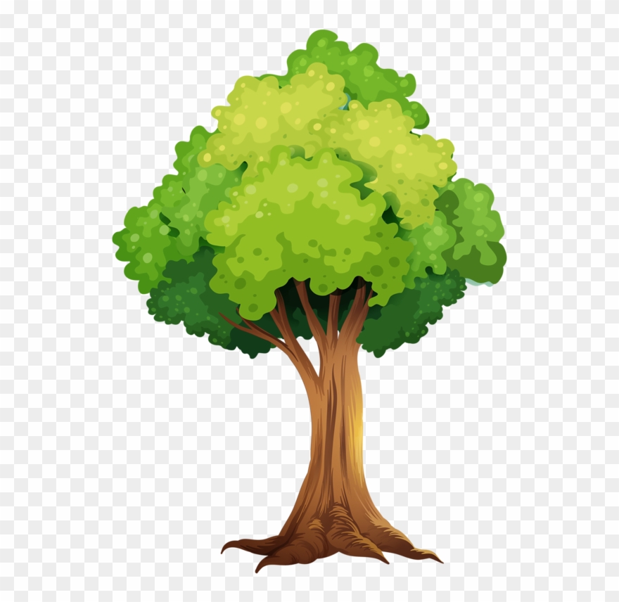Album - Arbol De Almendras Dibujo Clipart