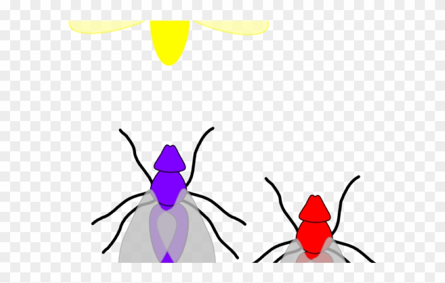 Fly Clip Art - Png Download