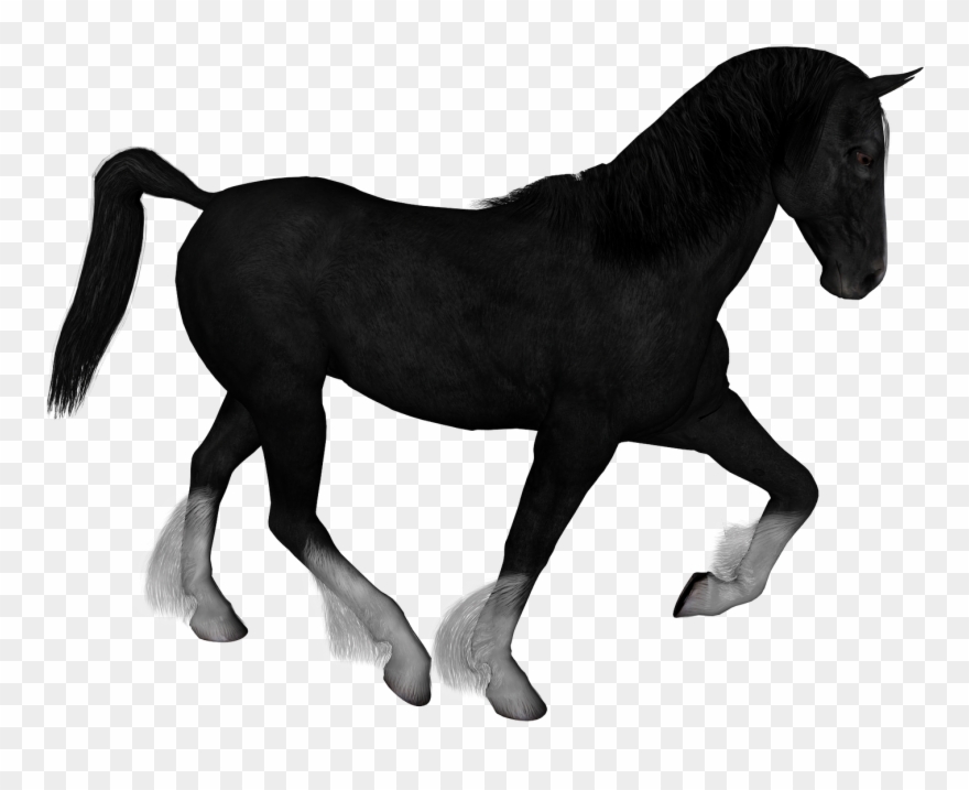 Posted By Todd A At - Chevaldessin Clipart