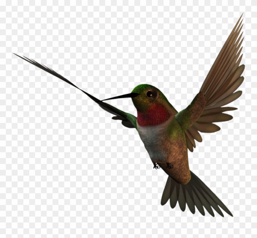 Clip Arts Related To - Clip Art - Png Download