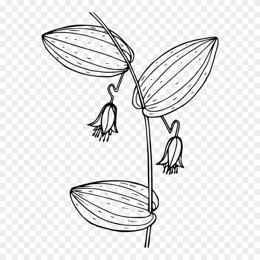 Twisted Cliparts - Watermelon Berry - Png Download