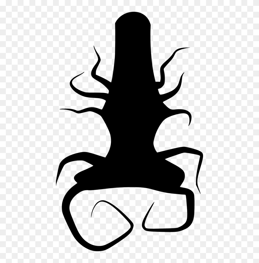 Twisted - Akar Pohon Vektor Clipart