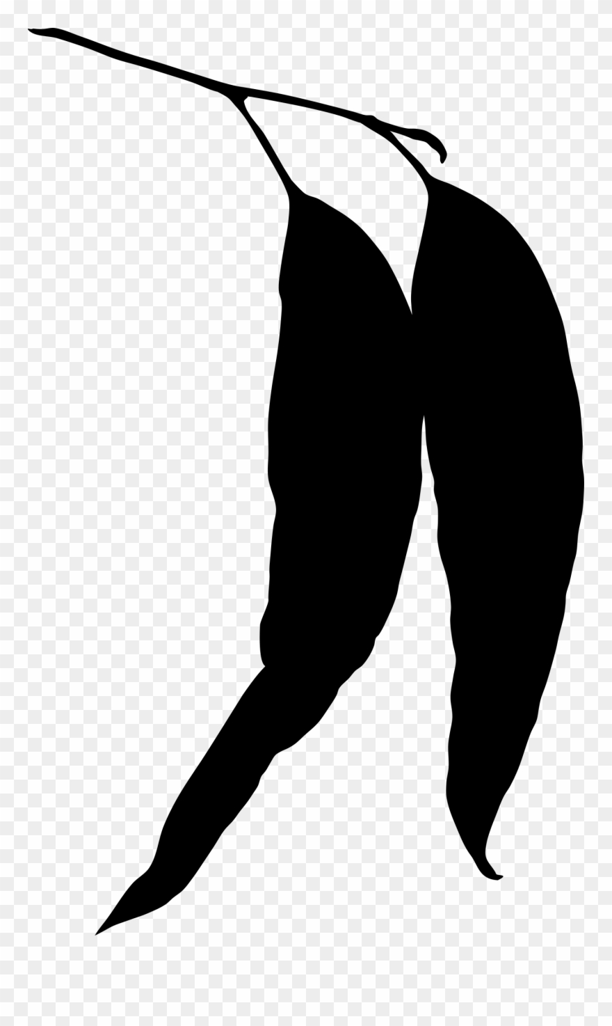Codes For Insertion - Eucalyptus Leaf Silhouette Clipart