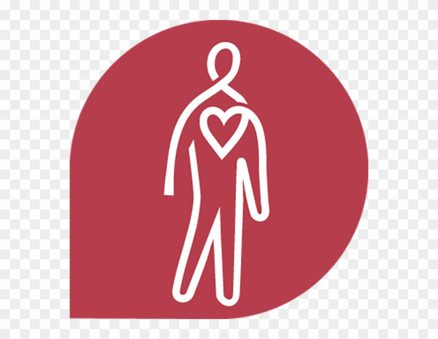 The Weekly Health Quiz - Heart Clipart