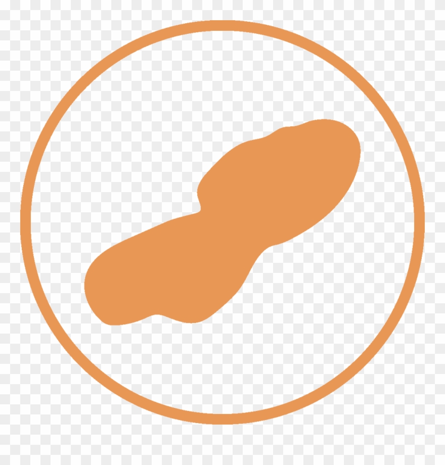 Hybrid Sunfish, Lake Sturgeon, Largemouth Bass, Northern - Otter Tail Lake Clipart