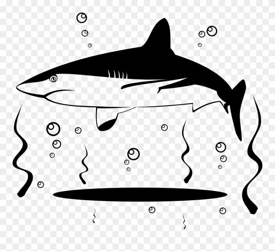 Big Image - Duck Clipart Shark Black And White - Png Download