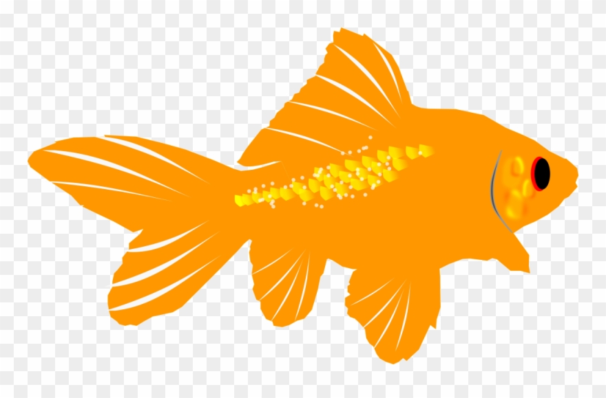 Fins Clipart Sea Life - Fish Under The Sea Creatures Clipart - Png Download