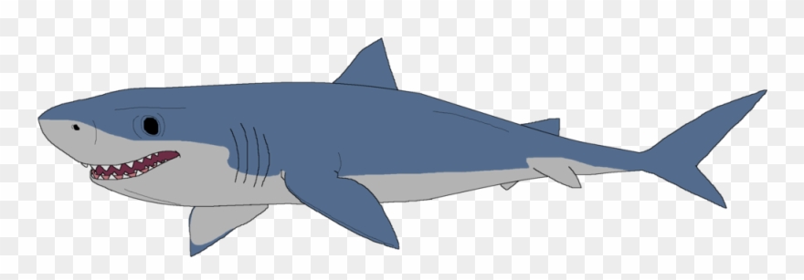 Great White Shark Clipart Mako Shark - Great White Shark Clip Art - Png Download