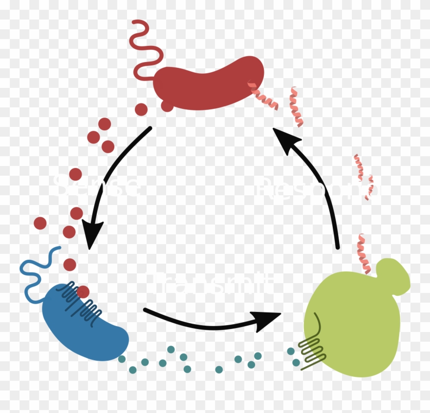 Clip Royalty Free Download Disease Clipart Cholera - Clip Art - Png Download