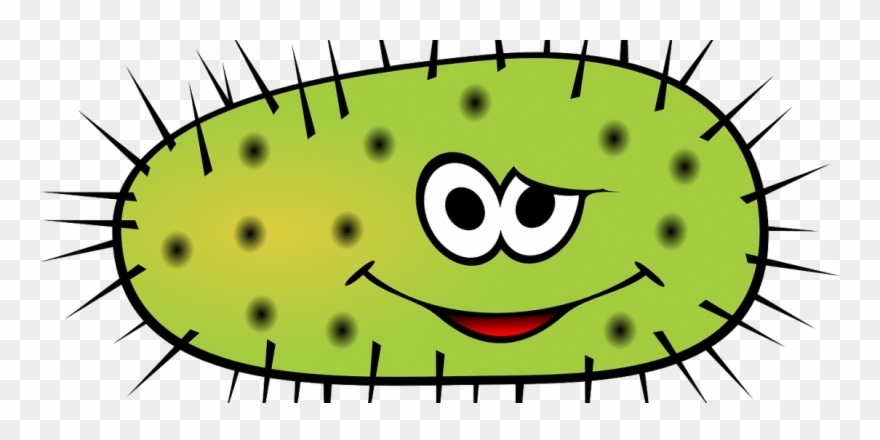 Oregano And Melaleuca Oils Fight Bacteria - Bacteria Cartoon Transparent Clipart