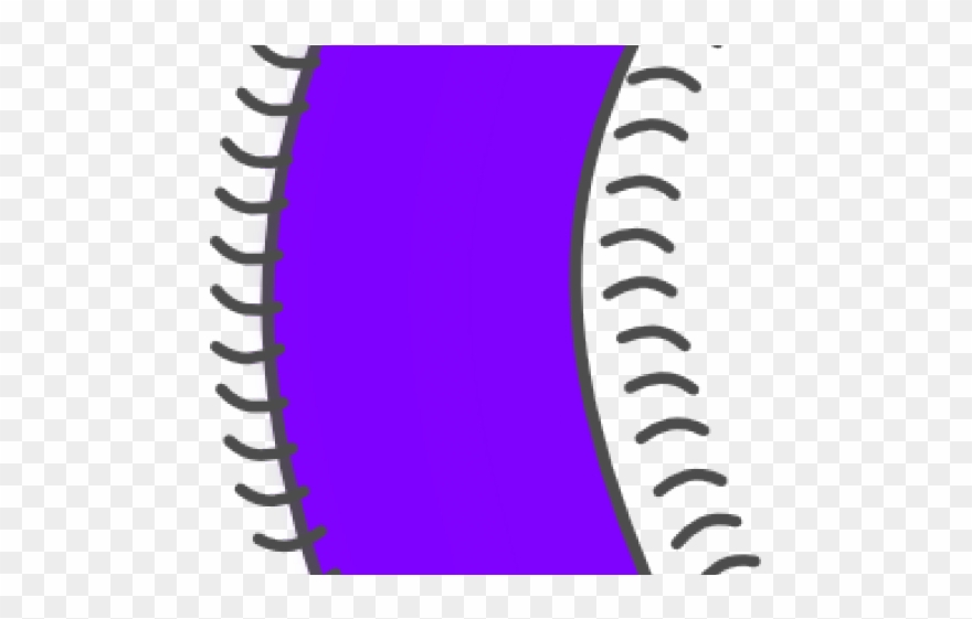 Bacteria Clipart Character - Bacteria Cell Cartoon - Png Download