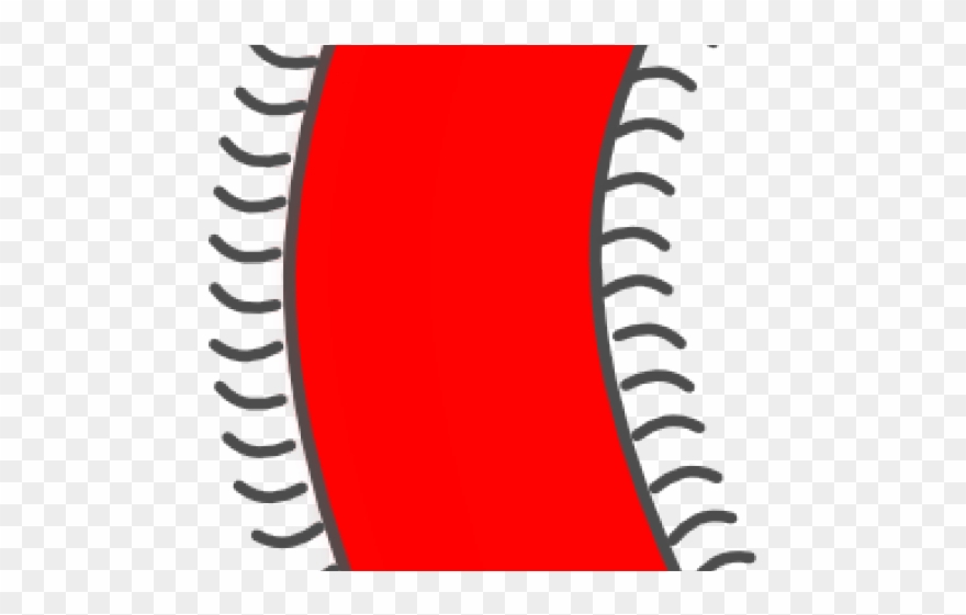 Bacteria Clipart Svg - Bacteria Clipart - Png Download