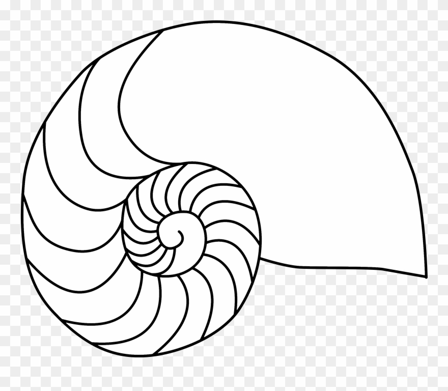Beach Guide - Nautilus Shell Coloring Page Clipart