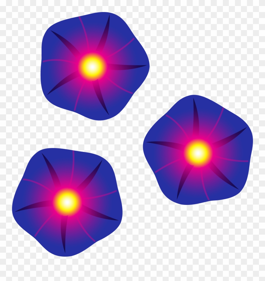 Three Morning Glories - Morning Glory Cartoon Flower Clipart