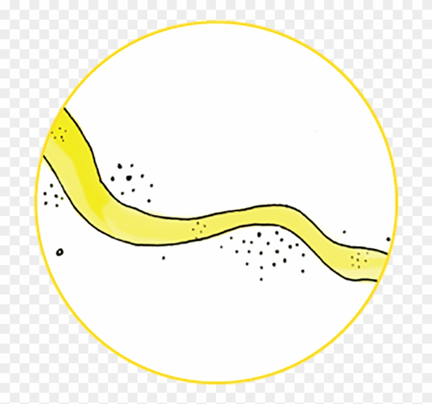 Fireflies River - Circle Clipart