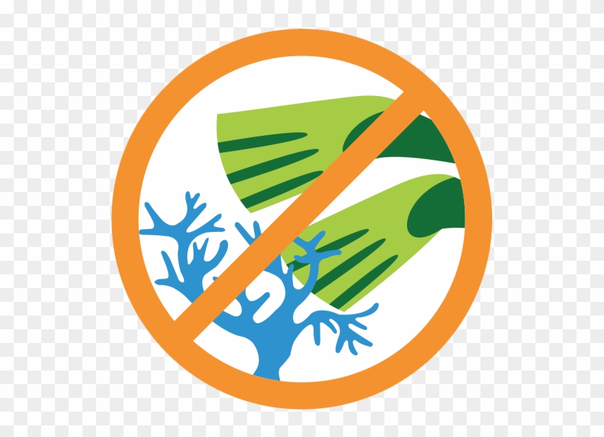 Don't Step On Coral - Don T Touch Coral Reefs Clipart
