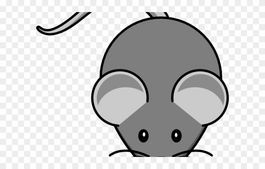 Cartoon Picture Of A Mouse - Cartoon Mouse Clipart