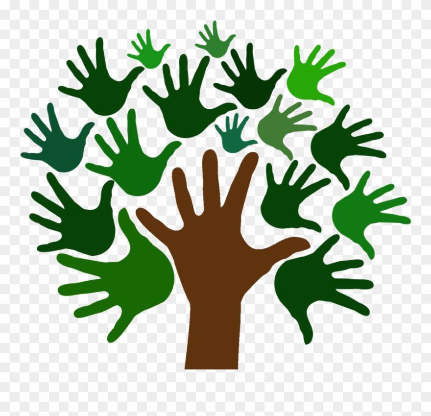 Bachelor Of Occupational Therapy Clipart