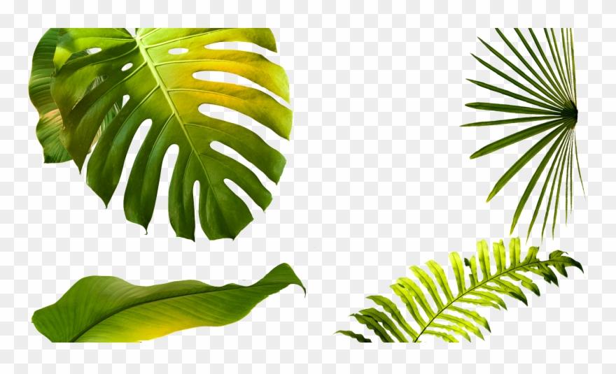 “it's Always An Honor And A Blessing To Just Have An Clipart