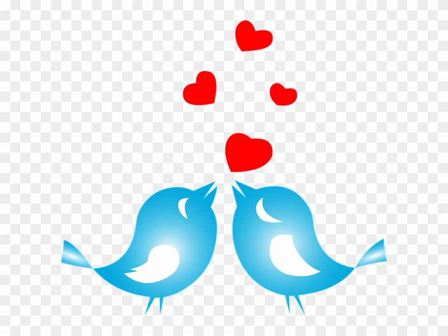 Sweetheart, In Our Vast And Wondrous Universe, There's - Love Birds Clipart Black And White - Png Download