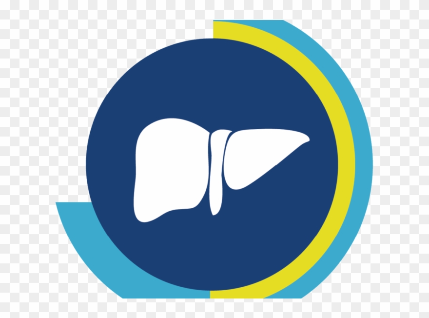 Fatty Liver Disease And Co-toxic Liver Injury - Fatty Liver Icon Clipart