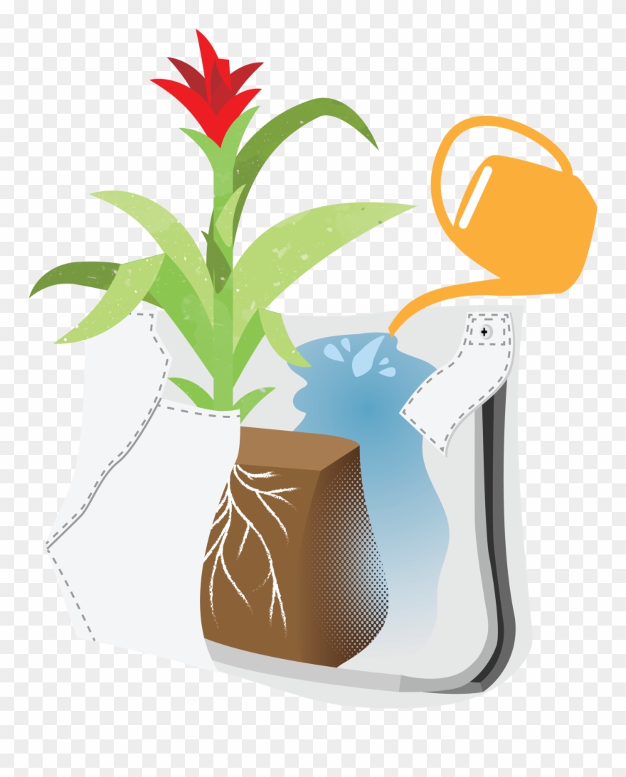 Ii Pocket - Flowerpot Clipart