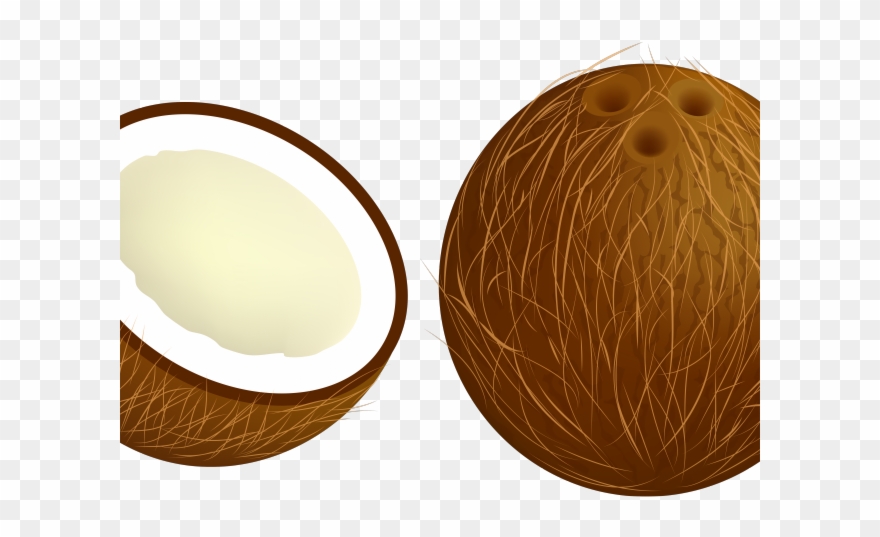 Tree Clipart Clipart Coconet - Coconut - Png Download