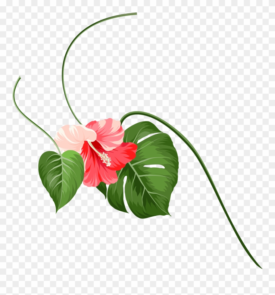 Make Sure You Factor The Cost Of Getting There Into - Anthurium Clipart