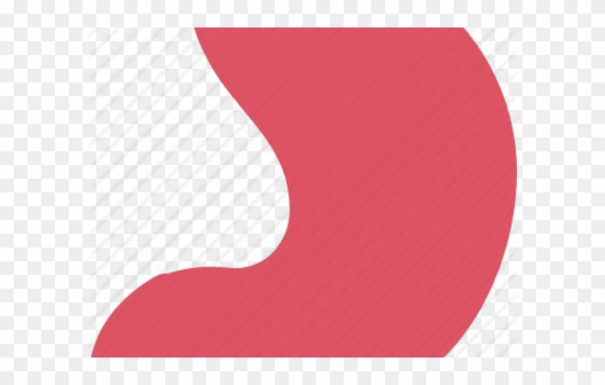 Organs Clipart Liver - Circle - Png Download