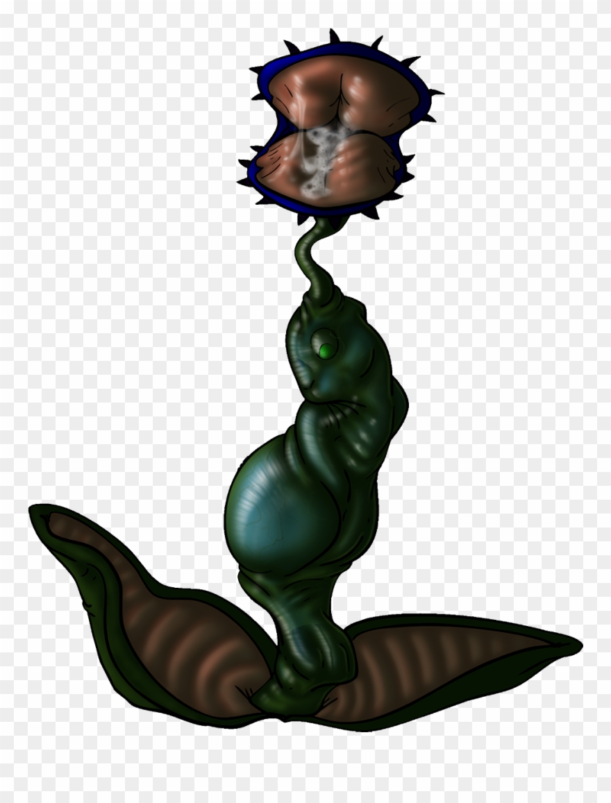 Venus Fly Trap Jade - Illustration Clipart