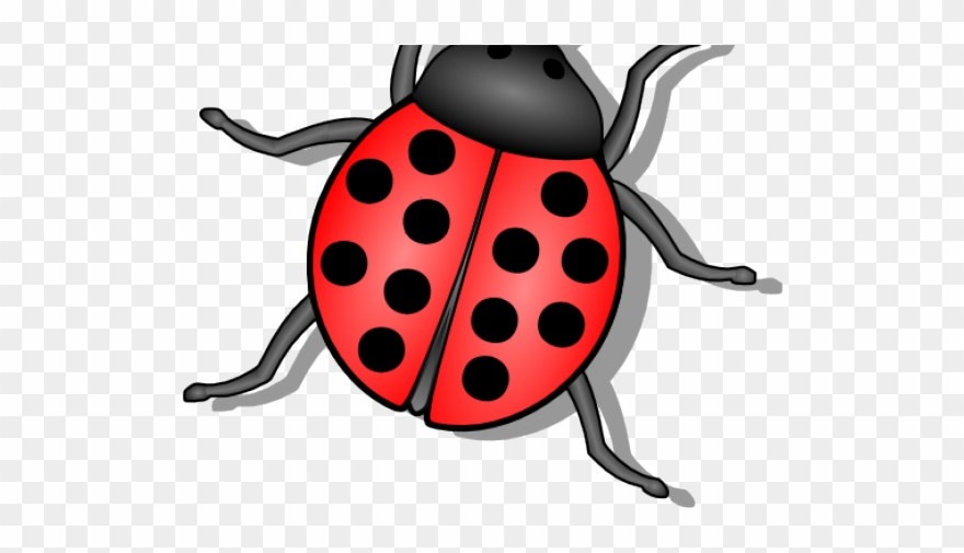 Flies Clipart Small Bug - Lady Bug - Png Download